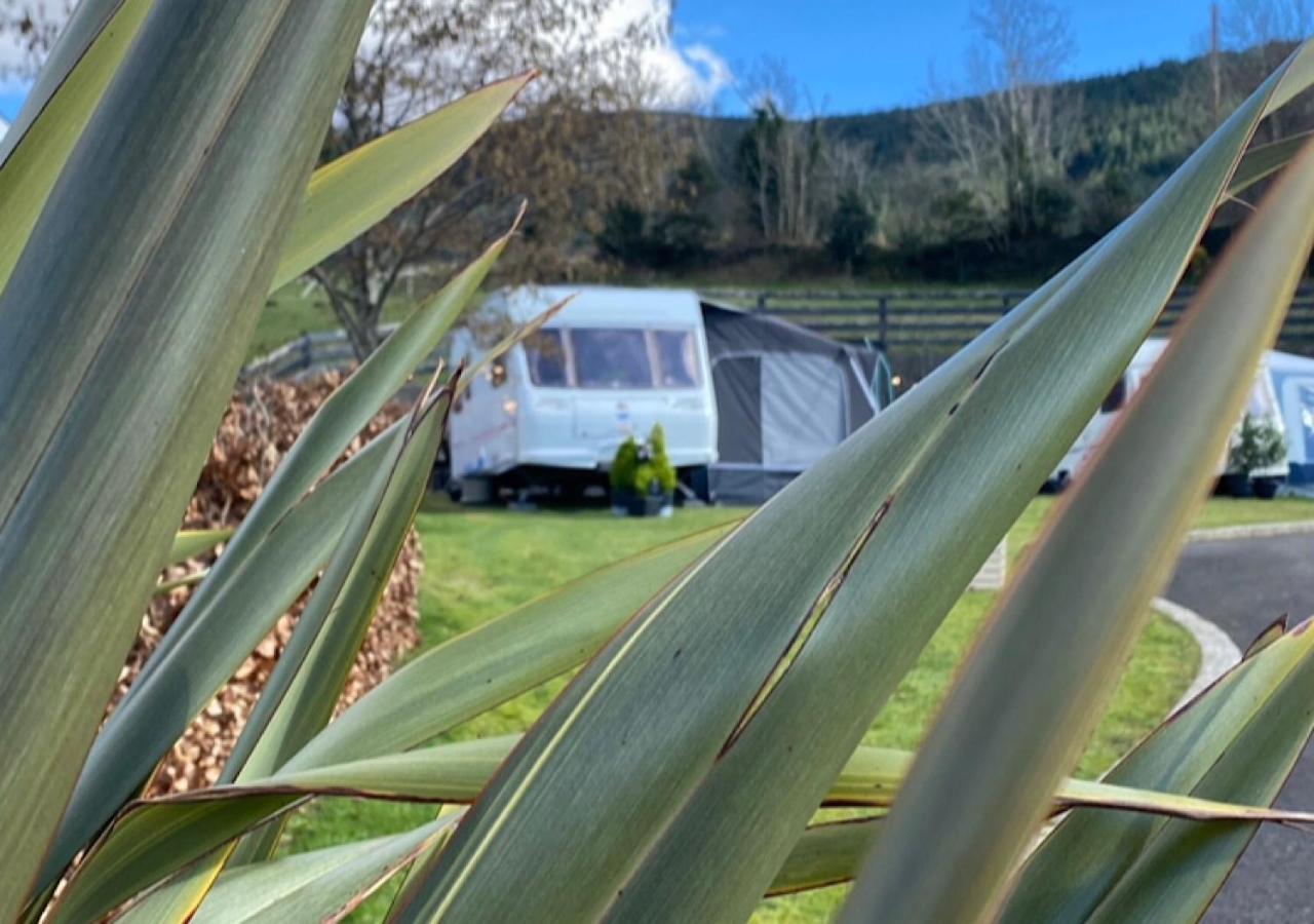 Rostrevor Valley Caravans With Private Hot Tub Exteriér fotografie